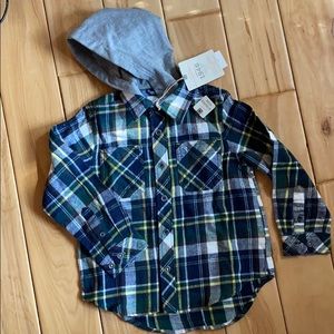 Green and navy plaid flannel with hood